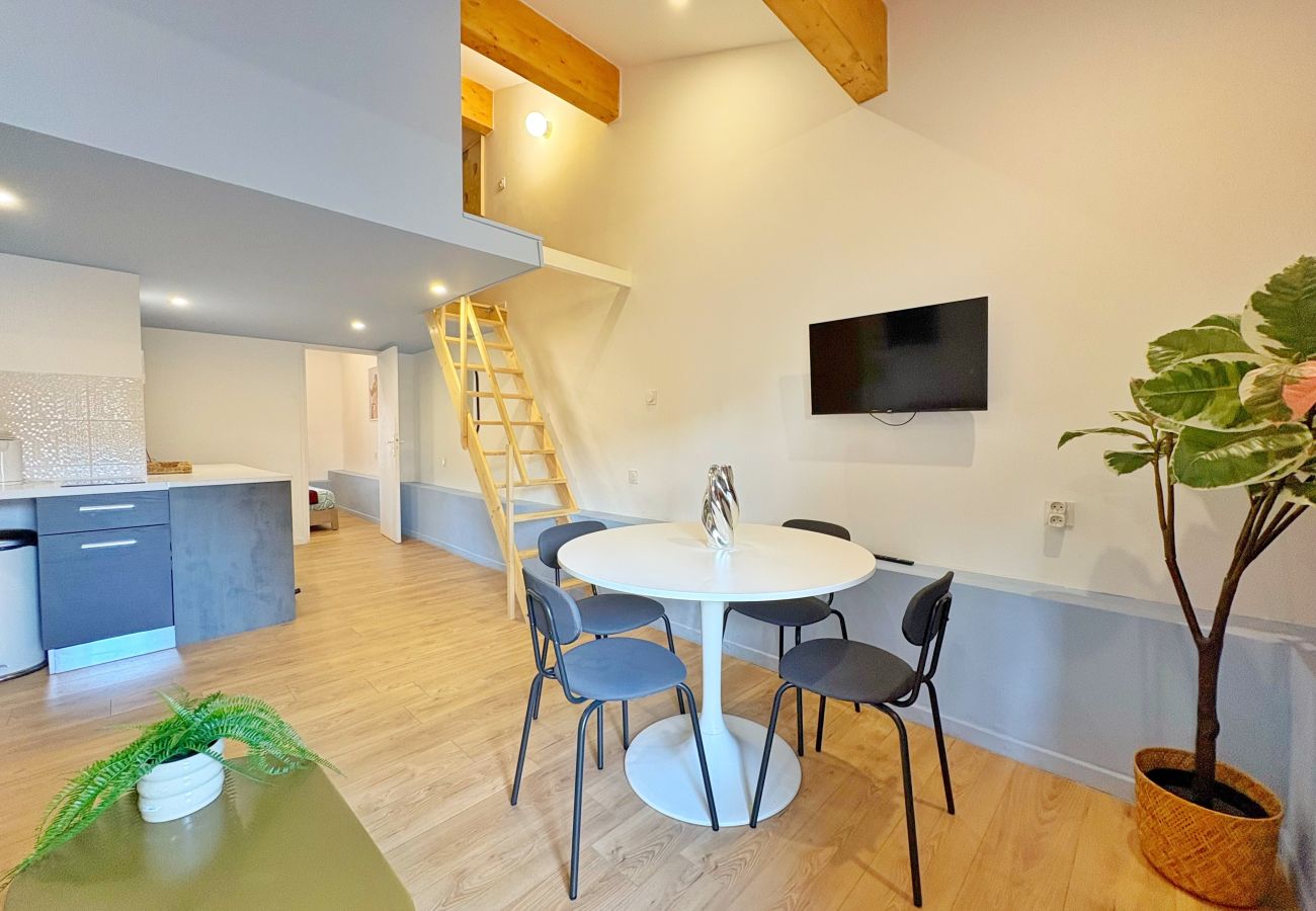 Appartement à Rhône - Z4 🟪 CARLOS